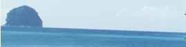 www.traveljungle.co.uk